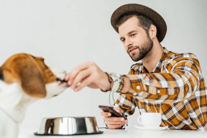 Les aliments pour animaux